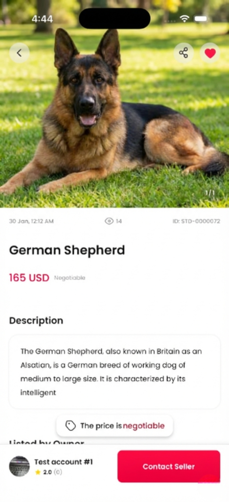 Mazady Standard Listing